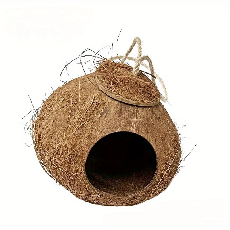 Casa nido de pájaro de cáscara - Baby Products Unique reseña y precio